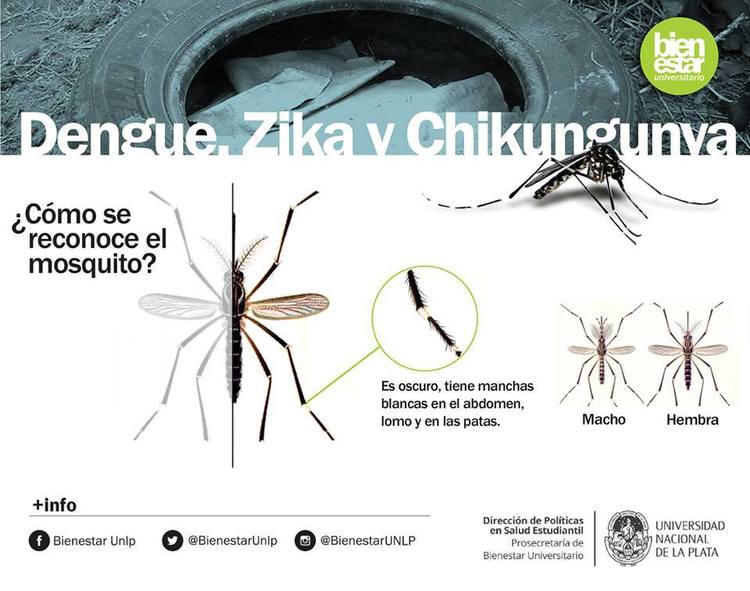 Campaña de prevención Contra el dengue, zica y chikungunya 